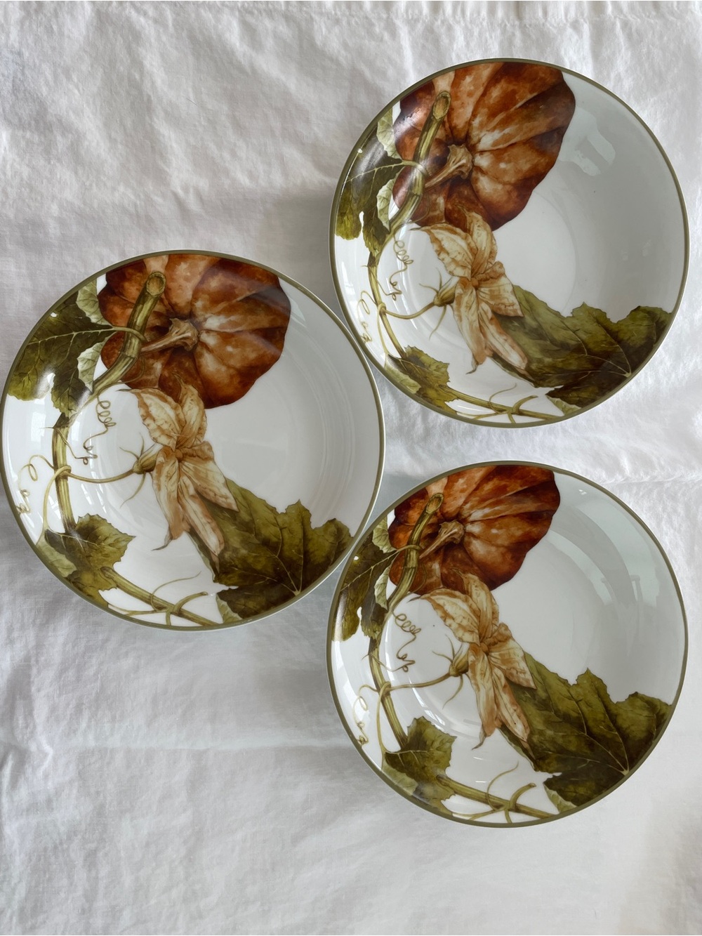Williams Sonoma Botanical Pumpkin Soup Pasta Bowls (Set of 3)